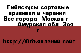 Гибискусы сортовые, прививки и черенки - Все города, Москва г.  »    . Амурская обл.,Зея г.